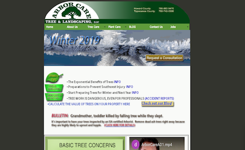 Arbor Care Tree & Landscaping